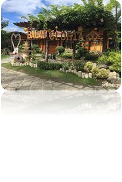 balai-gloria Investment Profile of Nueva Vizcaya